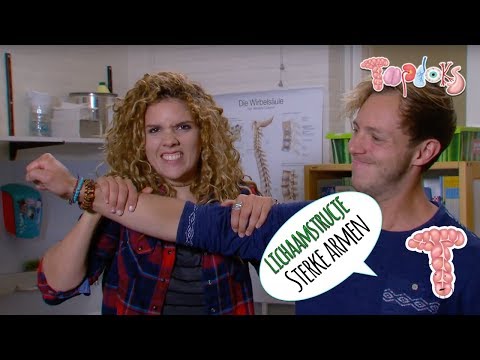 MEGA STERKE ARMEN - LICHAAMSTRUCJE