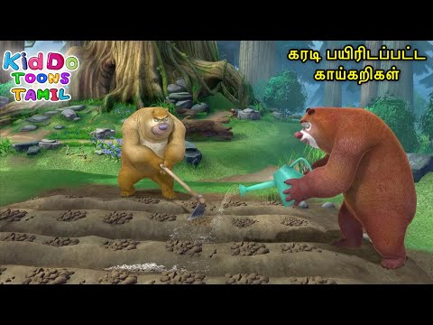 கரடி பயிரிடப்பட்ட காய்கறிகள் | Bablu Dablu Tamil Cartoon Big Magic | Funny Action Animation