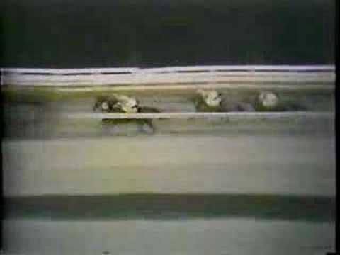 Native Dancer - 1953 Travers Stakes