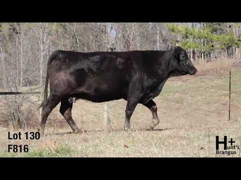 2024 | Lot 130 | F816