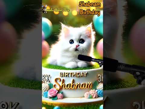 SHABNAM BIRTHDAY | HAPPY BIRTHDAY SONG WITH NAMES | Adorable Cute Cat 😺 #cat #happybirthday