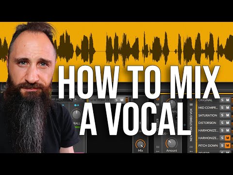 How To Mix a Vocal in the Mix