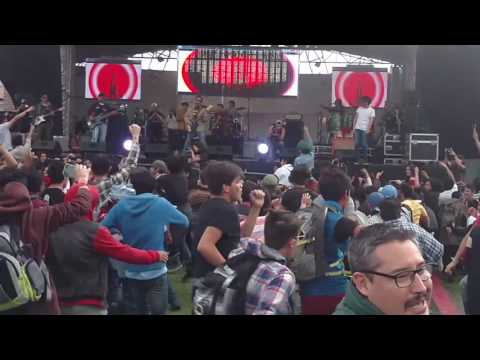 RECAP - MUTANT FESTIVAL 2017