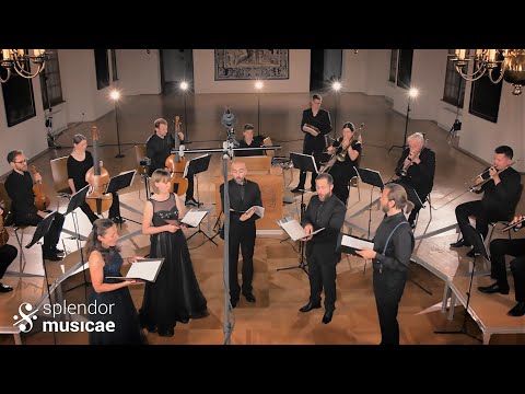 Orlando di Lasso - O vin en vigne | Ensemble SPLENDOR MUSICAE