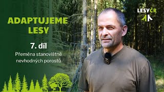 Adaptujeme lesy – 7. díl
