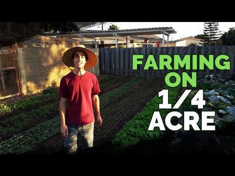 Quitting Your Job To Farm on a Quarter Acre In Your Backyard? Video
