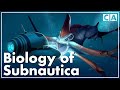 The Biology Of Subnautica Part I