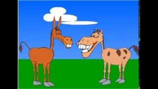 Funny joke donkey and horse