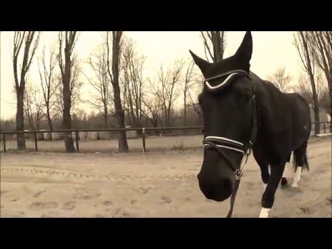 Juniorteam Mainz-Ebersheim 2016 - Sichtung Kriftel