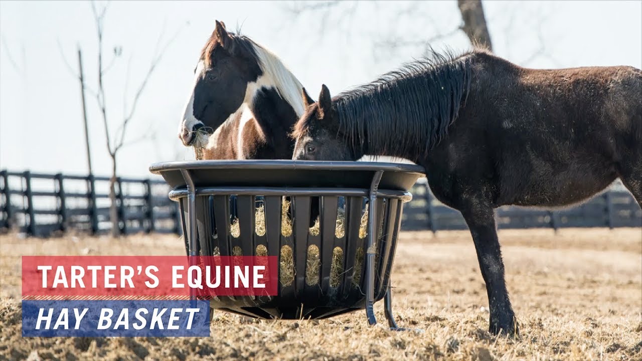 Equine Hay Basket Tarter
