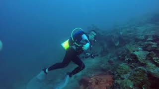 preview picture of video 'Maumere Dive Journey'