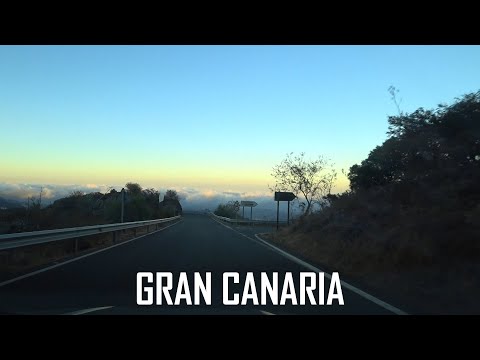 Best of ASOT1259 | Alper Cetin - Love It, Driftmoon with Sue McLaren & Susie Ledge - Neon Glow, MORE