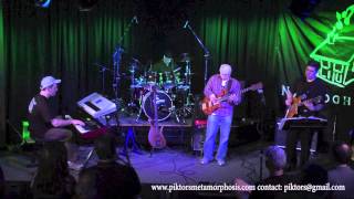 Tribute to David Sancious - Forest of Feelings