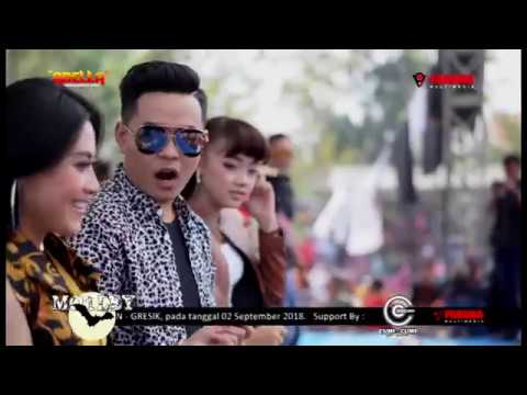 all artis - selamat ulang tahun - adella live sambogunung
