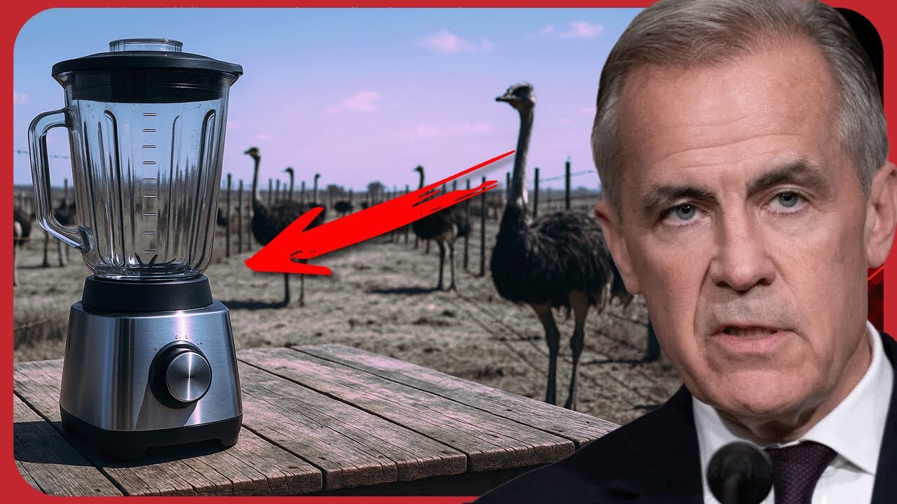 OUTRAGE in Canada: CFIA Accused of Grinding Up Ostriches Alive on Family Farm