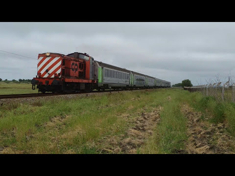 Comboio Especial n.º 13571 (Ovibeja 2017) - Cuba