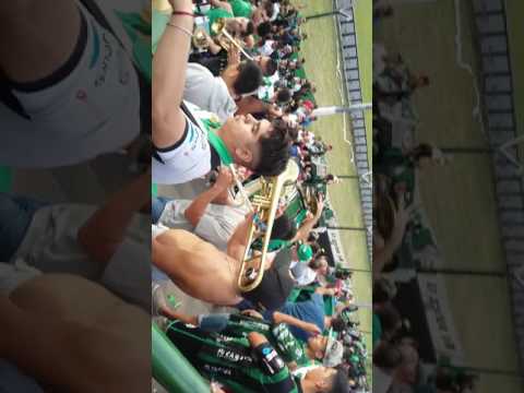 "Los Pibes de Chicago" tocando después del partido ( ritmo "despacito" )