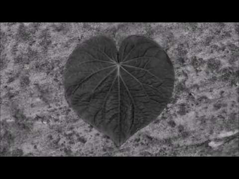 Casa no Campo - Elis Regina