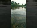 Arpa Pairi Ke Dhar Cg Status Video