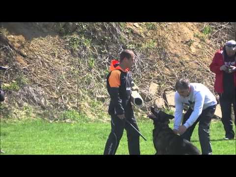 Aron vom Eichertland