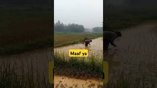 Download lagu NOAH #musik #music #storywa #masukberanda #status #shorts #short ##story mp3