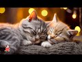 Instant Relaxation Music for Cats and Kittens 😻 Cat Music to Your Cat Relax and Sleep