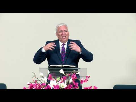 Kuca u glavnoj ulici - Propovednik 12 - dr. Radisa Antic