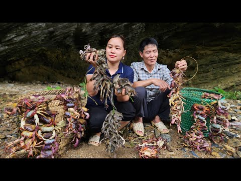 Harvest Frogs & Crabs After Summer Rain Goes To Market Sell - Lý Thị Ca