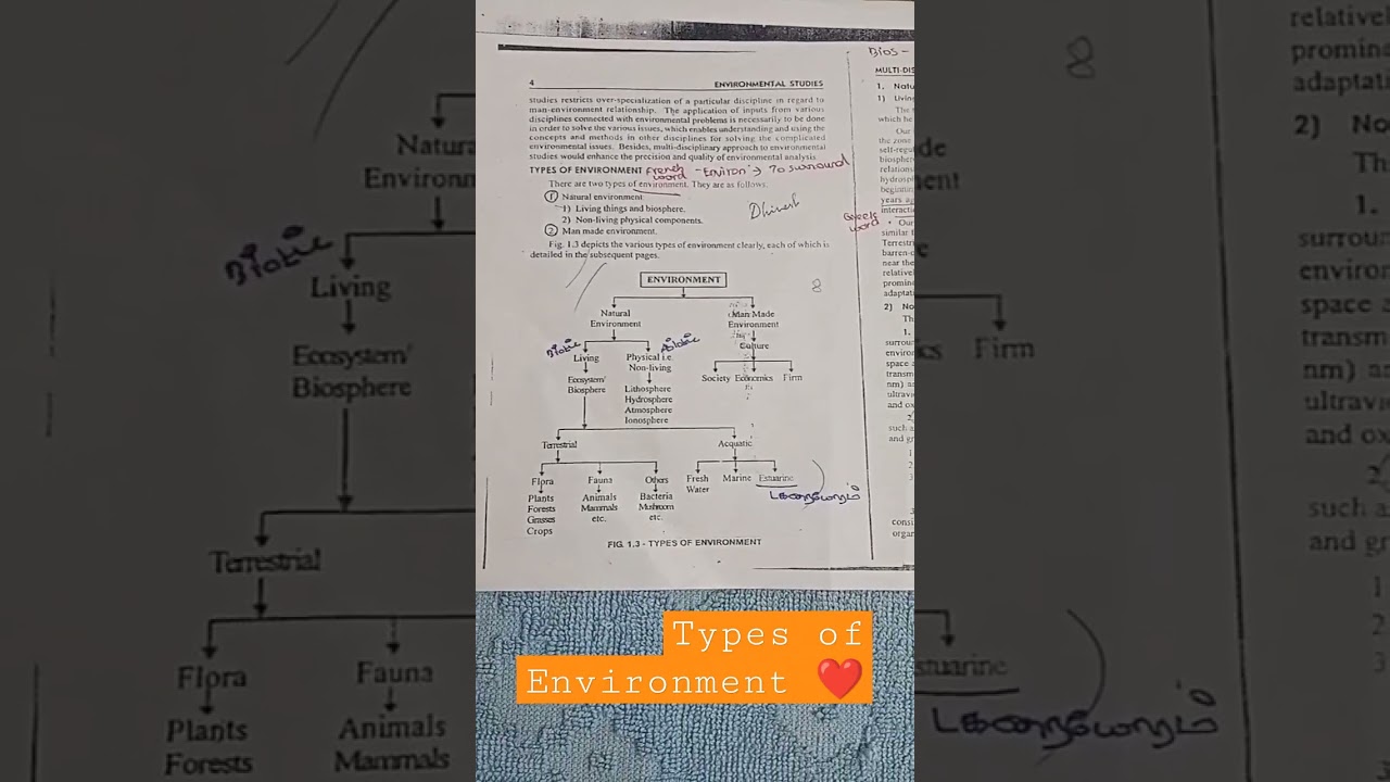 Types Of Environment tips and tricks shortcut flowchart
