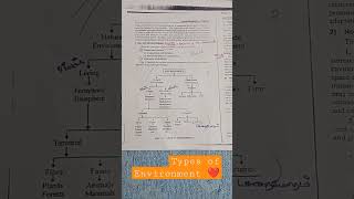 Types Of Environment tips and tricks shortcut flowchart