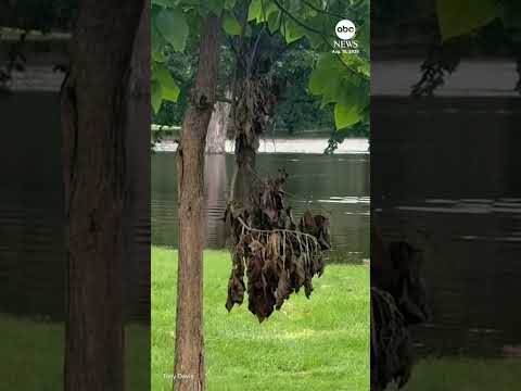 Flash flooding hits Wisconsin, other parts of the Midwest