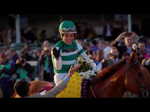 2018 Breeders' Cup Highlights
