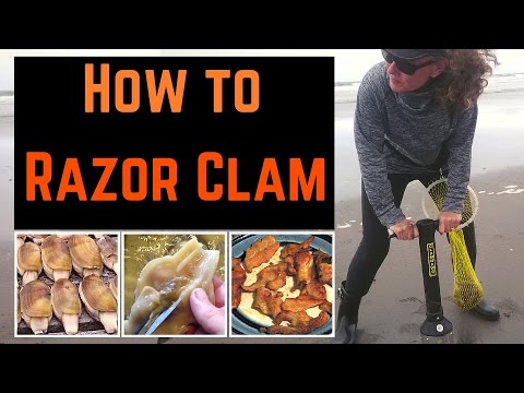 How To Razor Clam - Razor Clam Digging