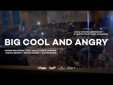 ROMAN BULAKHOV/TROY NALLS/JOSHUA BRYANT/DAVE McKINZIE/ANTON SUSHEV/AUSTIN DRAKE - BIG COOL AND ANGRY