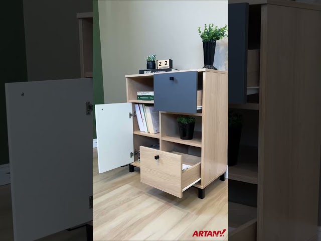 Armário para Escritório Nordik 1 Porta 2 Gavetas Carvalho/Branco/Grafito - Artany Móveis