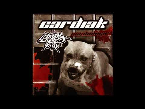 EPKCDACT13 - 2005 - Cardiak - Cardiologie