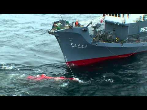 Punkt krytyczny - Racing Extinction - Ginący świat - Discovery Channel