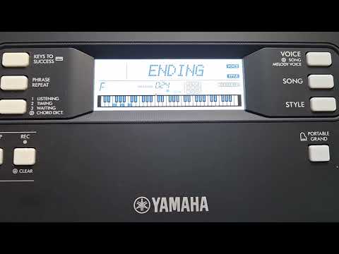 Style Comparison 8beat Psr E243 Vs Psr E373