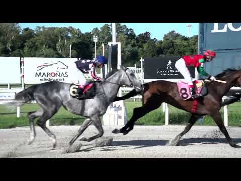 220128 c03 MAGNETICO