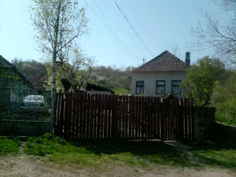 Micoslaca-Ocna Mures