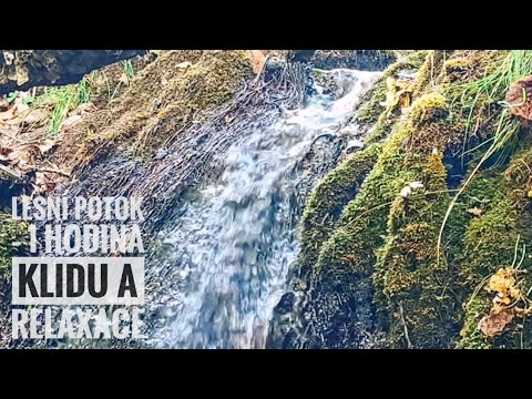 Lesní potok – 1 hodina klidu a relaxace