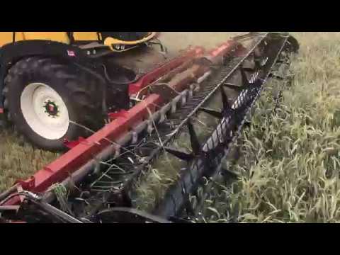 New Holland SPFH FR920 forager with a CNH 30ft Draper in Wholecrop Rye
