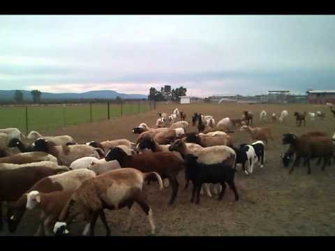 Hoy Hace Un Buen Día - Fernando Delgadillo