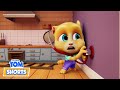 Top 5 Talking Tom Shorts Season 2 Full Episodes