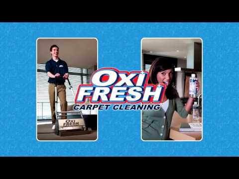 , title : 'Join Oxi Fresh Carpet Cleaning Franchise | Become A Franchisee | Best Carpet Cleaning Franchise