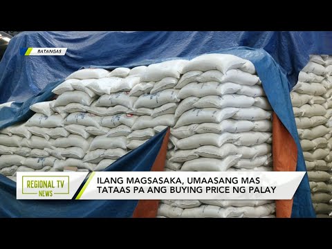 Regional TV News: Ilang magsasaka, umaasang mas tataas pa ang buying price ng palay