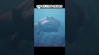 Download lagu Earth: The 4.6 Billion Year Story mp3