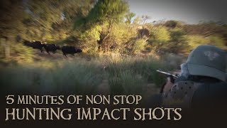 African Hunting Impact Shots
