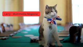 Download lagu Larry, The Downing Street Cat - Multimedia Megastar mp3