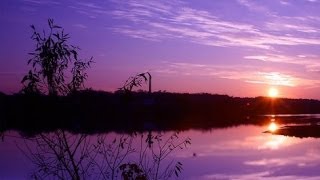 Secret Garden - Sigma (The Energy of Violet)